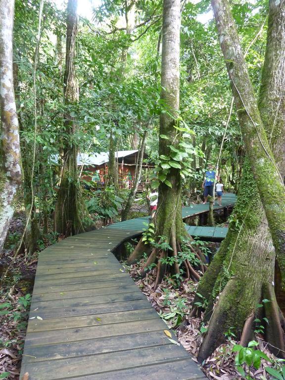 Hotel Casa Perico Rio Dulce Town Exteriör bild